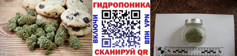 Canna-Cookies марихуана  ссылка на мегу ссылки  Кашира  купить наркотики сайты 
