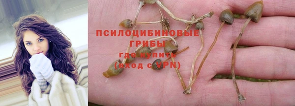 мдма Богородск