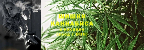 Альфа ПВП Белокуриха