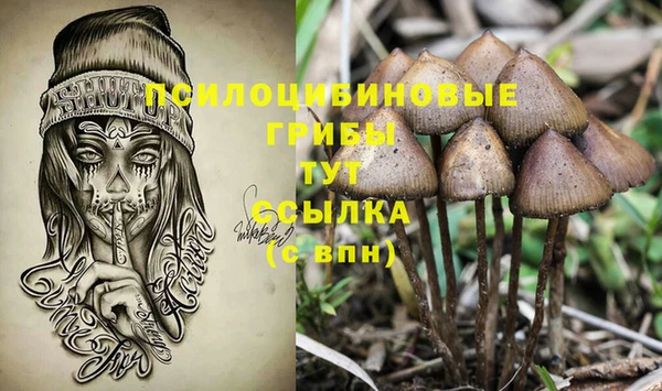 трава Баксан