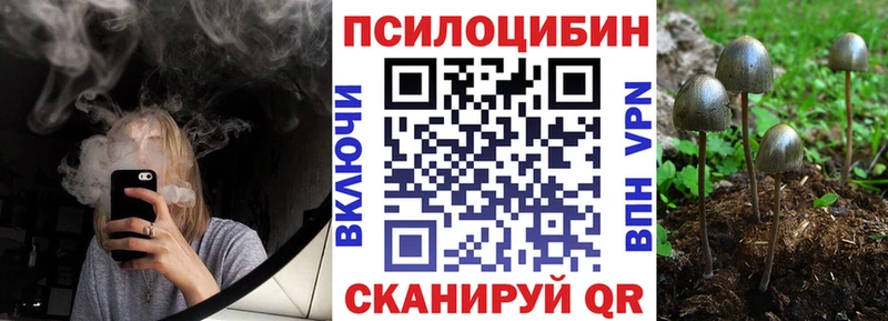 Псилоцибиновые грибы MAGIC MUSHROOMS  гидра tor  Кашира 