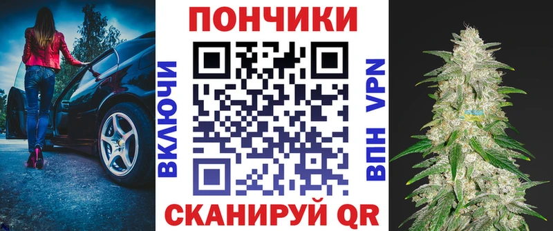 купить   Кашира  Бошки Шишки MAZAR 